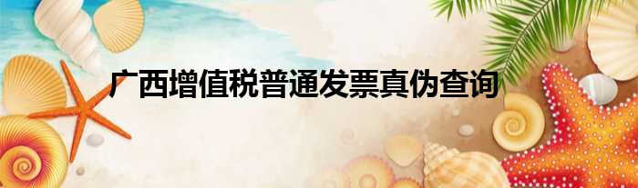 广西增值税普通发票真伪查询