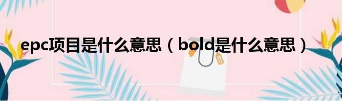 epc项目是什么意思（bold是什么意思）