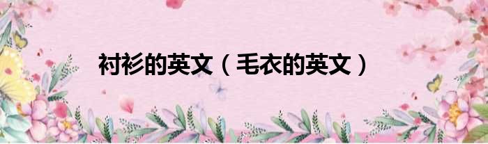 衬衫的英文（毛衣的英文）