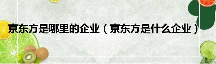 京东方是哪里的企业（京东方是什么企业）