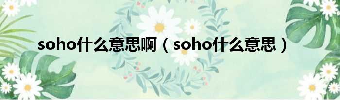 soho什么意思啊（soho什么意思）