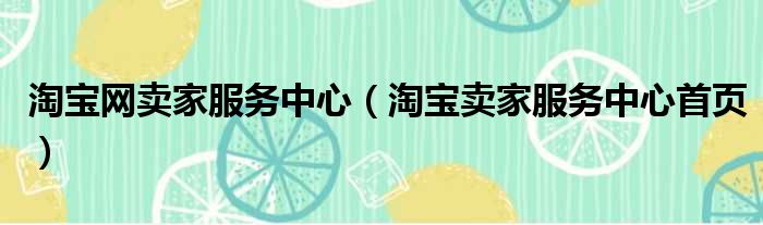 淘宝网卖家服务中心（淘宝卖家服务中心首页）