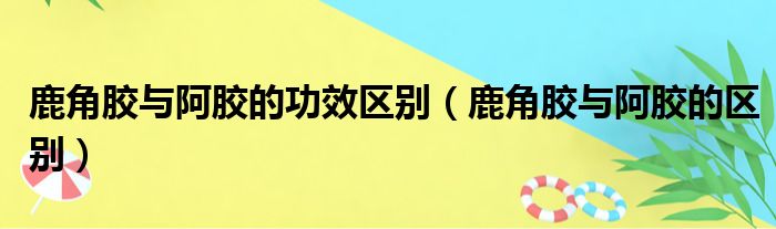 鹿角胶与阿胶的功效区别（鹿角胶与阿胶的区别）