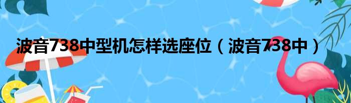 波音738中型机怎样选座位（波音738中）