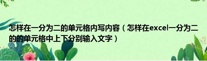 怎样在一分为二的单元格内写内容（怎样在excel一分为二的的单元格中上下分别输入文字）