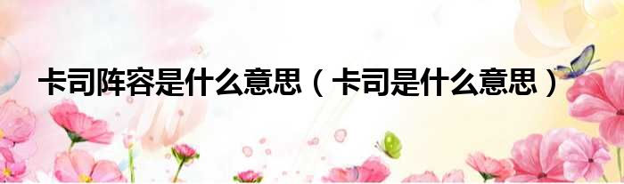 卡司阵容是什么意思（卡司是什么意思）