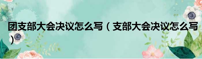 团支部大会决议怎么写（支部大会决议怎么写）