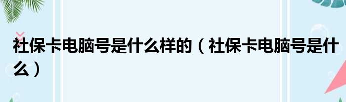 社保卡电脑号是什么样的（社保卡电脑号是什么）