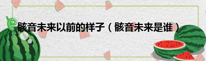 骸音未来以前的样子（骸音未来是谁）