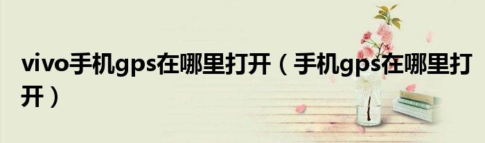 vivo手机gps在哪里打开（手机gps在哪里打开）