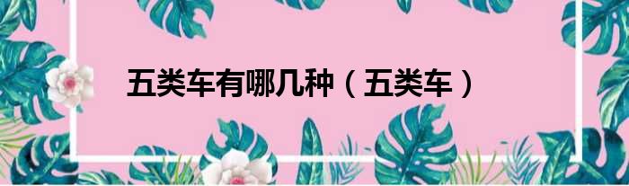 五类车有哪几种（五类车）