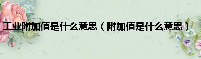 工业附加值是什么意思（附加值是什么意思）