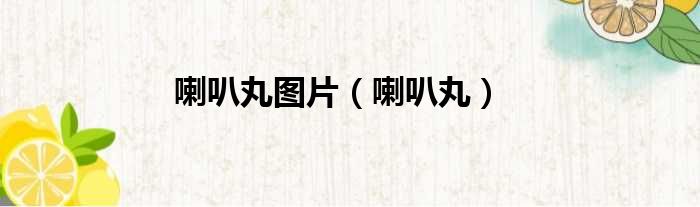 喇叭丸图片（喇叭丸）