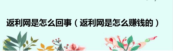 返利网是怎么回事（返利网是怎么赚钱的）