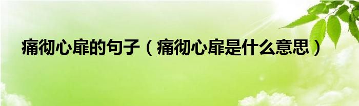 痛彻心扉的句子（痛彻心扉是什么意思）
