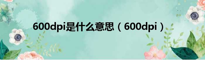 600dpi是什么意思（600dpi）