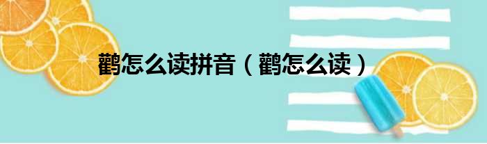 鹳怎么读拼音（鹳怎么读）