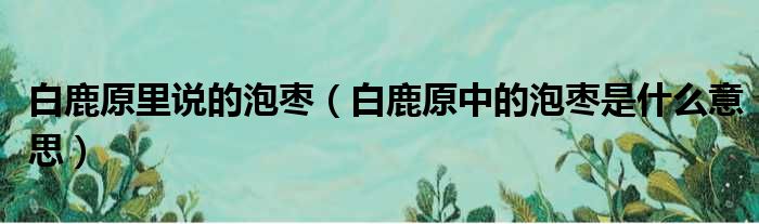 白鹿原里说的泡枣（白鹿原中的泡枣是什么意思）