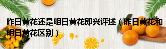 昨日黄花还是明日黄花即兴评述（昨日黄花和明日黄花区别）