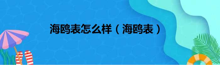 海鸥表怎么样（海鸥表）