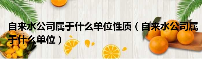自来水公司属于什么单位性质（自来水公司属于什么单位）