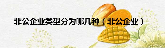 非公企业类型分为哪几种（非公企业）