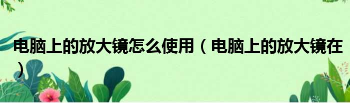 电脑上的放大镜怎么使用（电脑上的放大镜在）