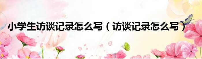 小学生访谈记录怎么写（访谈记录怎么写）