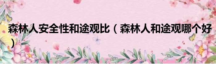 森林人安全性和途观比（森林人和途观哪个好）