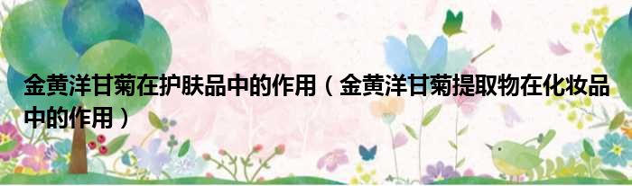 金黄洋甘菊在护肤品中的作用（金黄洋甘菊提取物在化妆品中的作用）
