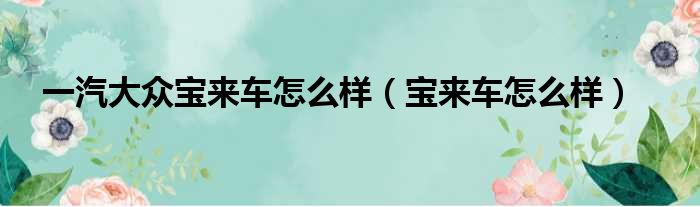 一汽大众宝来车怎么样（宝来车怎么样）