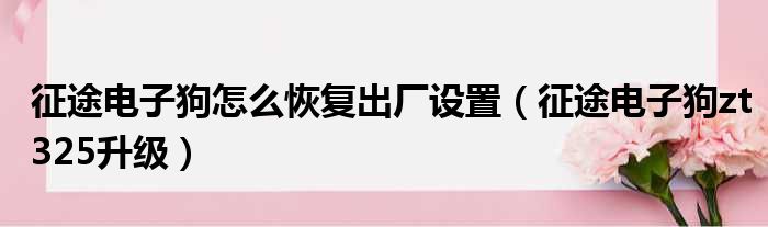 征途电子狗怎么恢复出厂设置（征途电子狗zt325升级）