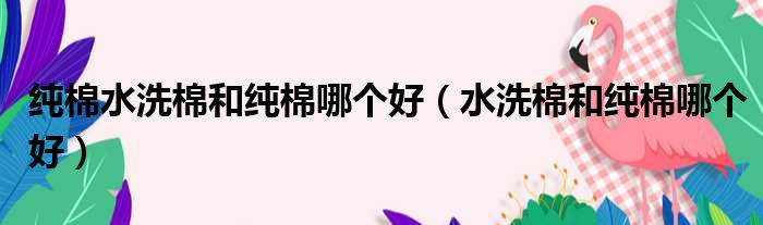 纯棉水洗棉和纯棉哪个好（水洗棉和纯棉哪个好）