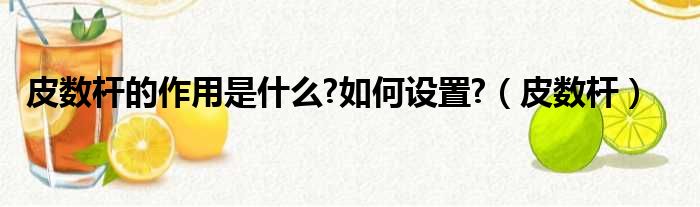 皮数杆的作用是什么?如何设置?（皮数杆）