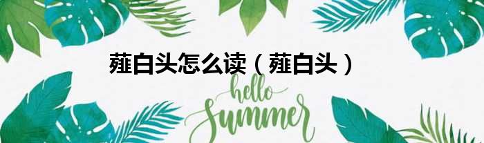 薤白头怎么读（薤白头）
