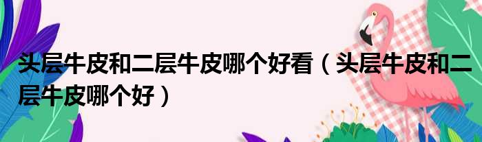 头层牛皮和二层牛皮哪个好看（头层牛皮和二层牛皮哪个好）