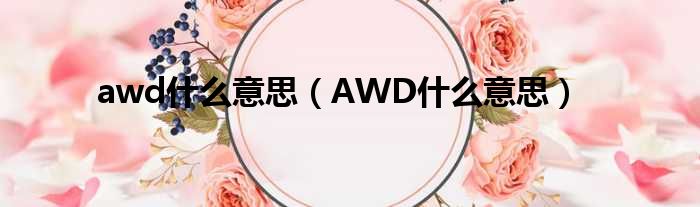 awd什么意思（AWD什么意思）