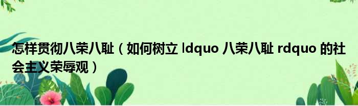 怎样贯彻八荣八耻（如何树立 ldquo 八荣八耻 rdquo 的社会主义荣辱观）