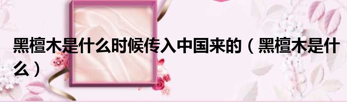 黑檀木是什么时候传入中国来的（黑檀木是什么）