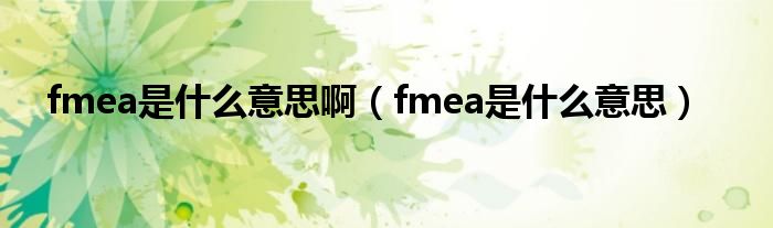 fmea是什么意思啊（fmea是什么意思）