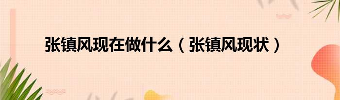 张镇风现在做什么（张镇风现状）
