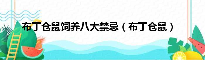 布丁仓鼠饲养八大禁忌（布丁仓鼠）