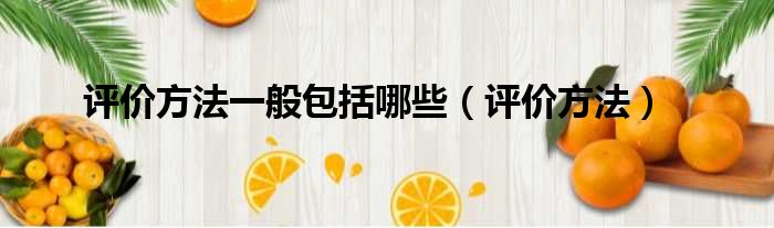 评价方法一般包括哪些（评价方法）