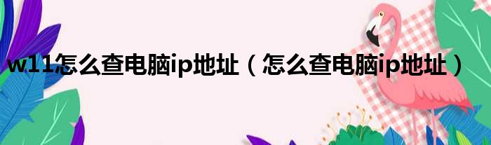 w11怎么查电脑ip地址（怎么查电脑ip地址）