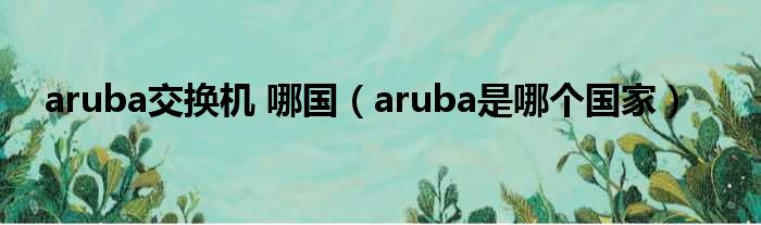 aruba交换机 哪国（aruba是哪个国家）