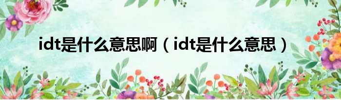 idt是什么意思啊（idt是什么意思）