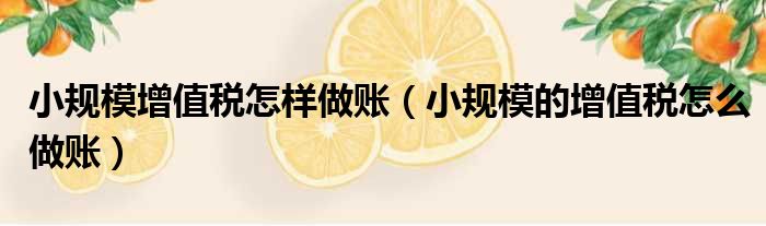 小规模增值税怎样做账（小规模的增值税怎么做账）