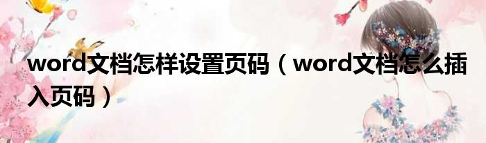word文档怎样设置页码（word文档怎么插入页码）