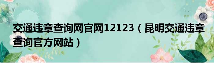 交通违章查询网官网12123（昆明交通违章查询官方网站）