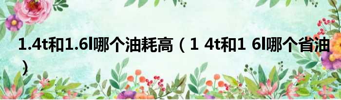 1.4t和1.6l哪个油耗高（1 4t和1 6l哪个省油）
